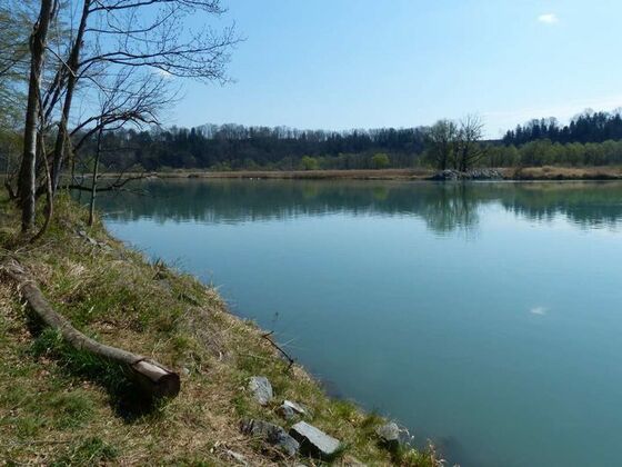 Innstausee bei Attel und Freiham