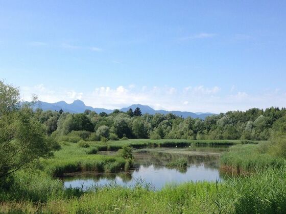 Tonwerkweiher Kolbermoor mit Alpenblick