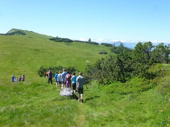 Fellhorngipfel von Norden