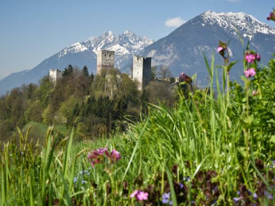 Ausblick Burgruine Kropfsberg im Frühling