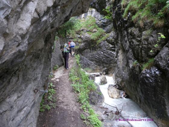 Weg in der Ehnbachklamm