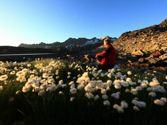Yoga-Energieplatz Franz-Senn-Hütte