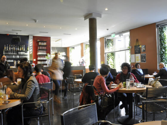 Gelbes Krokodil (1)_ES