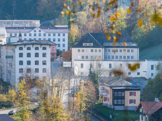 Steinebach Areal Dornbirn