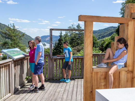 Panoramablick Engelhartszell | Sauwaldpanoramastraße