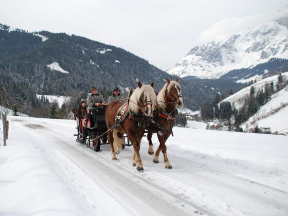 Pferdeschlittenfahrten Elmaugut