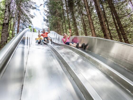 Offene Waldrutsche &quot;Rumble in the jungle&quot;