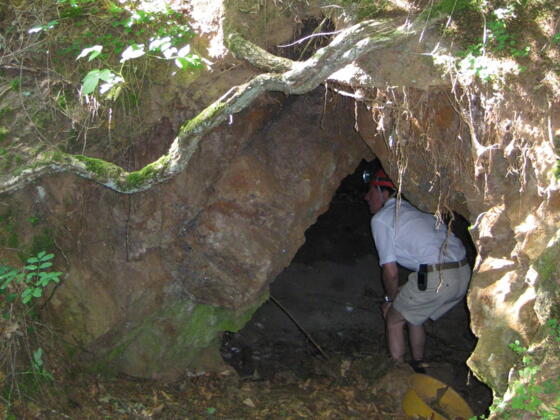 Schurfbau Lehen Ausschnitt