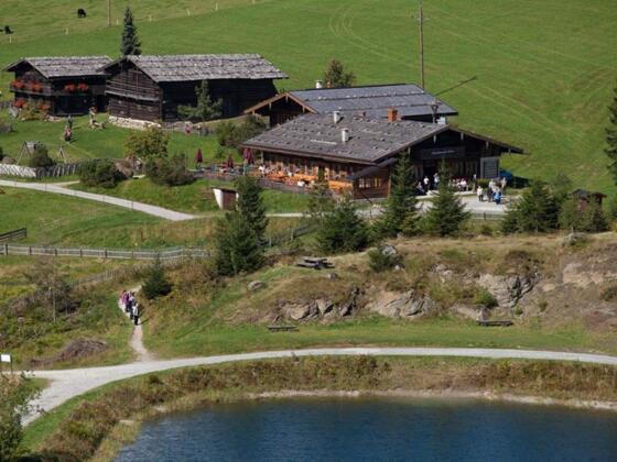 Edelweiss-Alm Wagrain