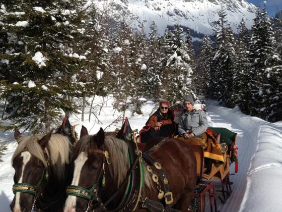Pferdeschlittenfahrten Kniegut