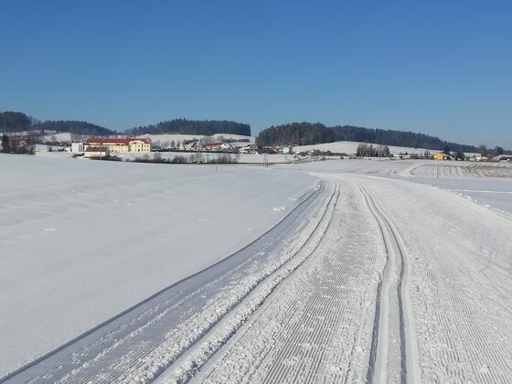 Blick auf Pferdeeisenbahnhof Kerschbaum