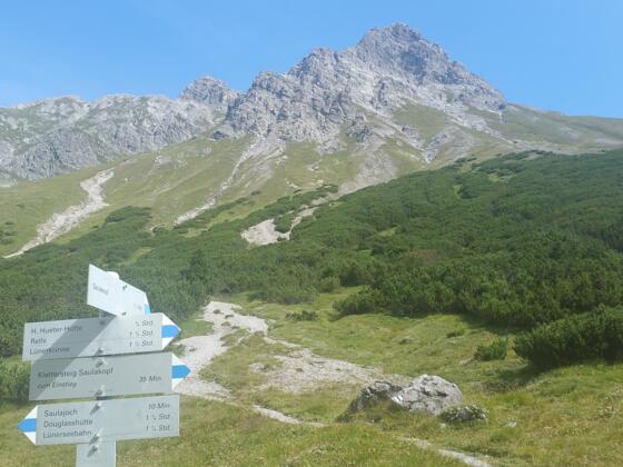 Saulakopf vom Saulajoch aus