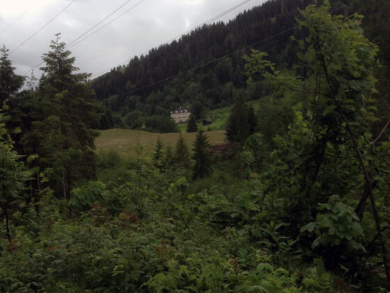 Blick auf das Schloss Höch