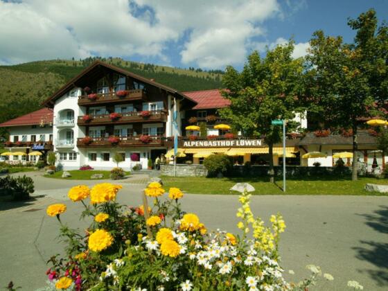 Der Löwen im Sommer