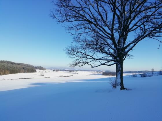 Blick von Eibenstein nach Summerau - Nordwaldkammweg II
