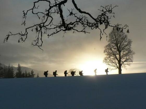 Schneeschuhwanderung bei Vollmond