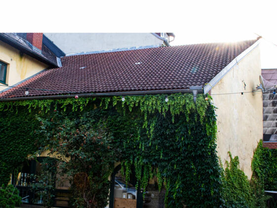 20200722_Auslese-VInothek_1200-600_Leutgeb-Johanna_Web