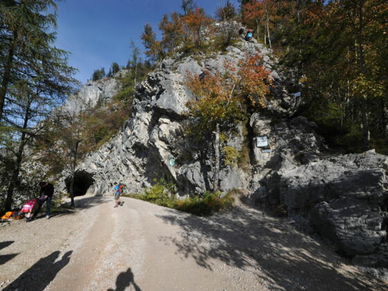 Einstieg Naturfreundesteig mit Tunnel