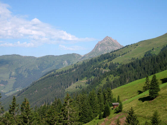 Der Gr. Rettenstein im Wildkogelgebiet - 2.363 m