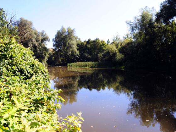 Europareservat Unterer Inn Schärding