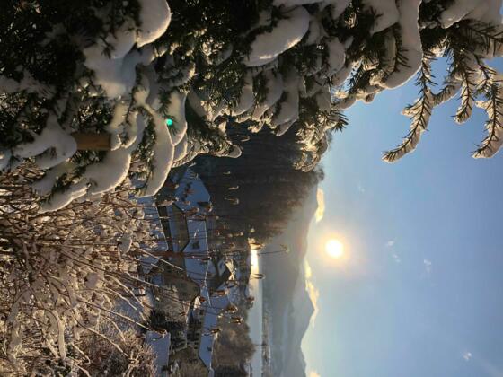 Das Alpbach Design Suiten Tegernsee