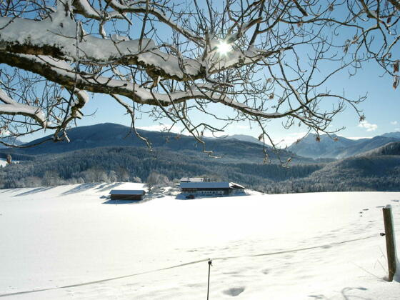 Strahlender Sonnenschein