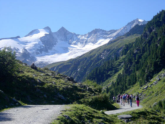 Toller Ausblick zum Talschluß mit Gabler und Reichenspitze im Hintergrund
