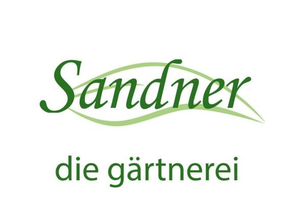 21414713_1852829294729074_8787175622005424338_o