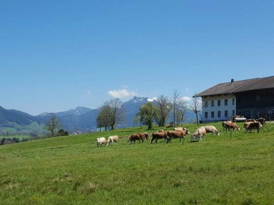 Biohof Unterstadl mit Bergblick