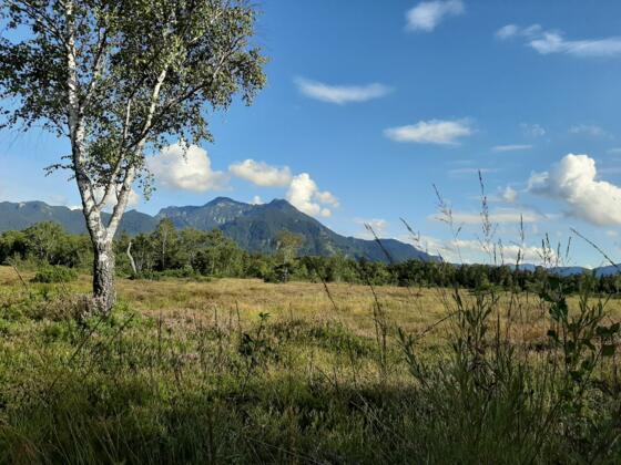 Picknickplatzl am Moorrundweg
