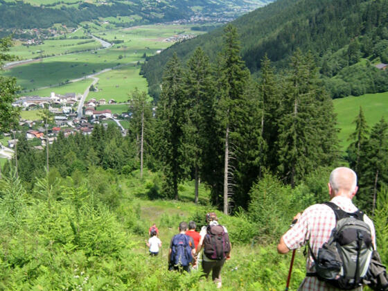 Abstieg nach Hollersbach