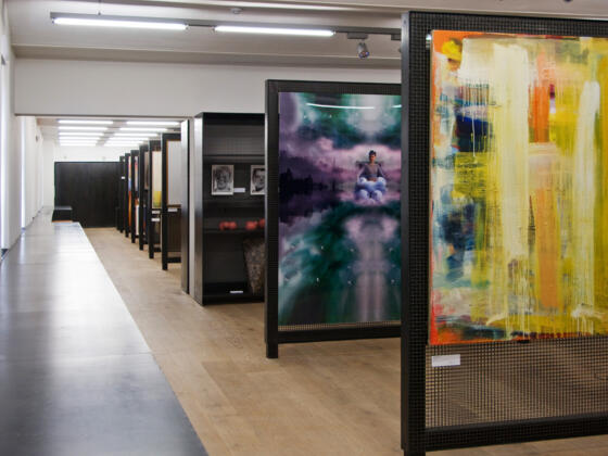 die KUNSTSAMMLUNG des Landes Oberösterreich