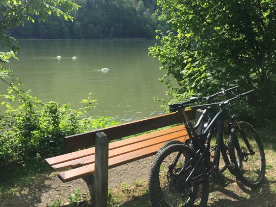 9D770E95-6BBB-4476-B32C-88439A3D5275