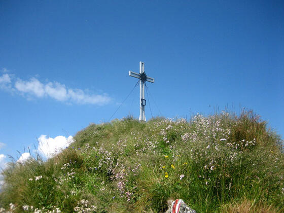 Der Gipfel des Roßgruber - 2.156 m