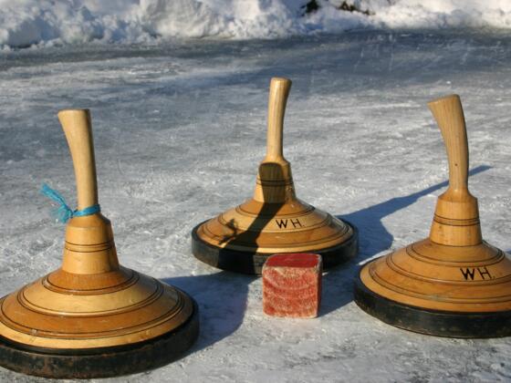 Eisstöcke mit Taube