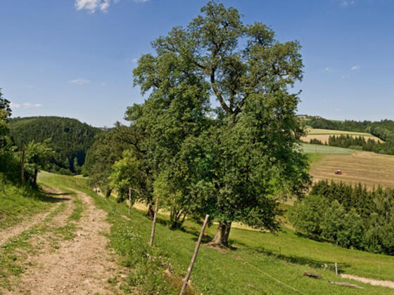 Panoramablick Fürstberger