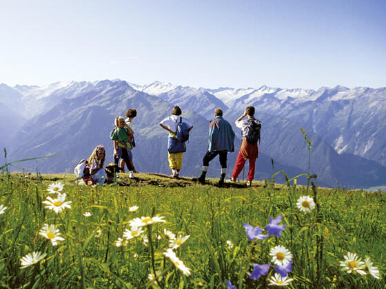 Ausblick vom Gipfel des Wildkogel (2.224 m) mit tollem Ausblick