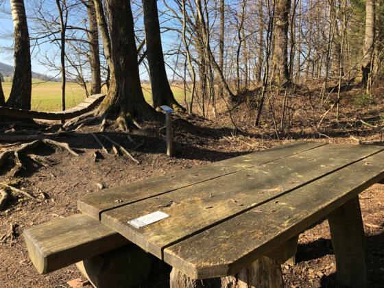 Picknickplatzl am Moorerlebnisweg