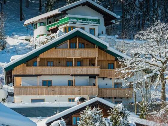 WiesseeChalet im Winter