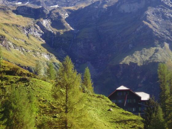 Trauneralm vom Wanderweg