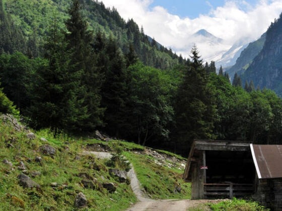 Blick zum Talschluß des Untersulzbachtales