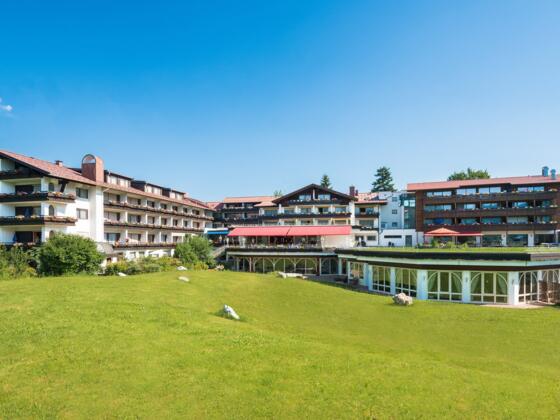 Schüle&#039;s Sommer