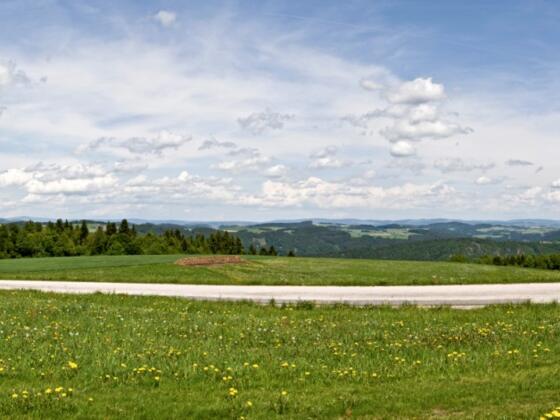 Panorama Paschinger Hügel