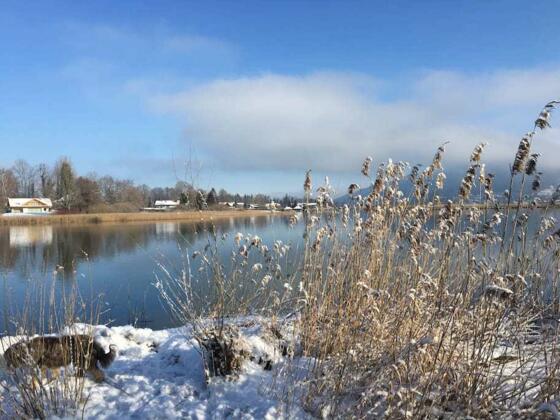 Tegernsee im Winter