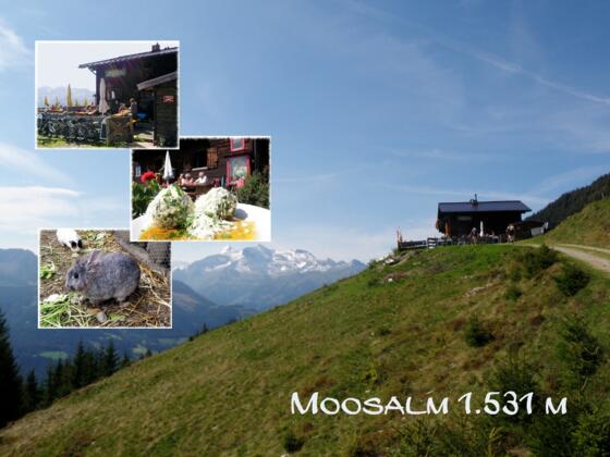 Moosalm 1.531 m