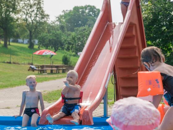 DSC08702 Ausschnitt.jpg