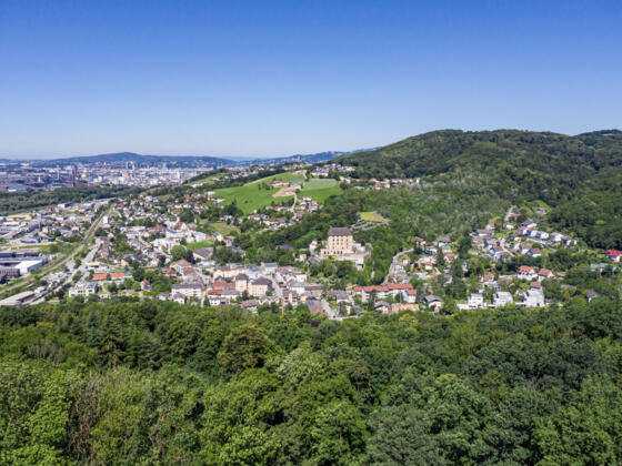 Steyregg Luftaufnahme