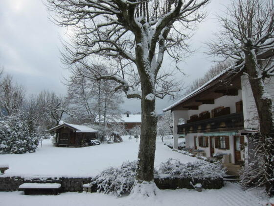 winterlicher Garten 1