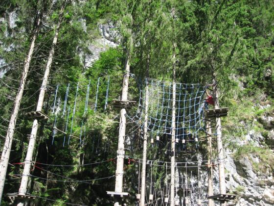 Der Hochseilklettergarten