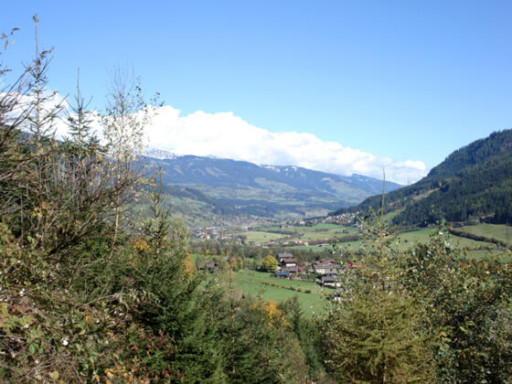 Abstieg nach Weyer zur Weyer-Ruine